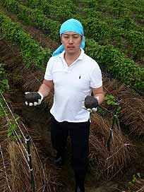 芋太郎(冷凍おろし山芋 無糖タイプ)