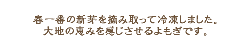 春一番のよもぎの新芽を冷凍