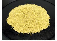 岩手県産黄金もちあわ